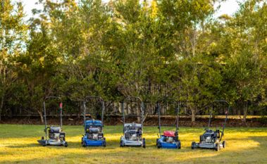 Keeping It Cool, Prepping Your Lawn For A Hot Summer