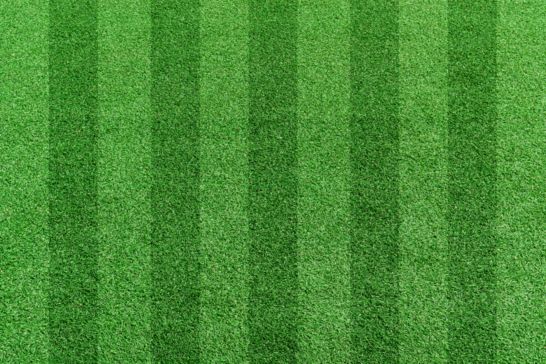 Perfecting The Stripes: A SupaSwift Guide To Lawn Stripes